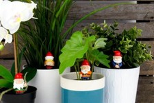  Freche Mini Gartenzwerge 4er