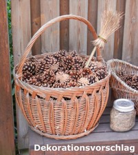 40 große Kiefernzapfen von der Schwarzkiefer statt Tannenzapfen - Zapfen