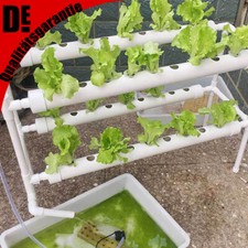 36 Pflanz Hydroponic Grow