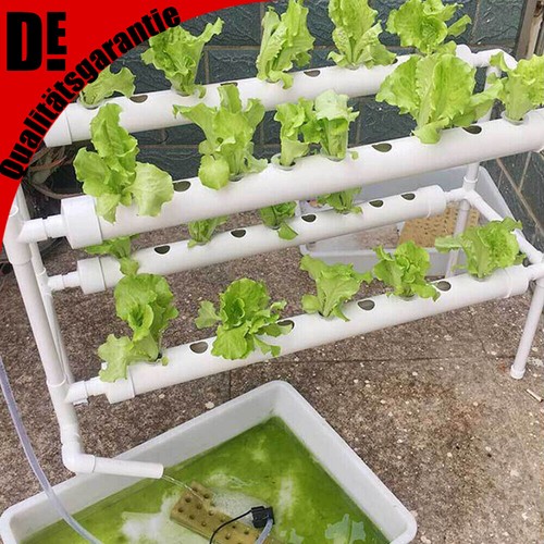 Pflanz hydroponic grow - 36,