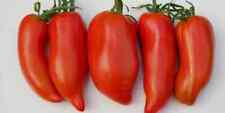 Tomate Howard German - Paprikaförmige Amish Erbstück 5+ Samen - Seeds P 417