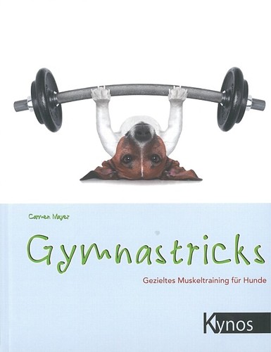 Mayer gymnastricks gezieltes - mayer:,