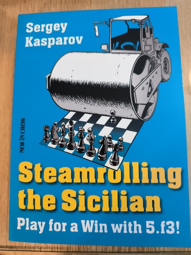 Sergey kasparov steamrolling - sergey,