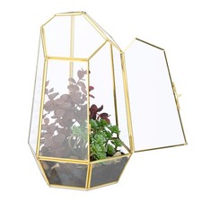 Pflanzenterrarium Glaskasten