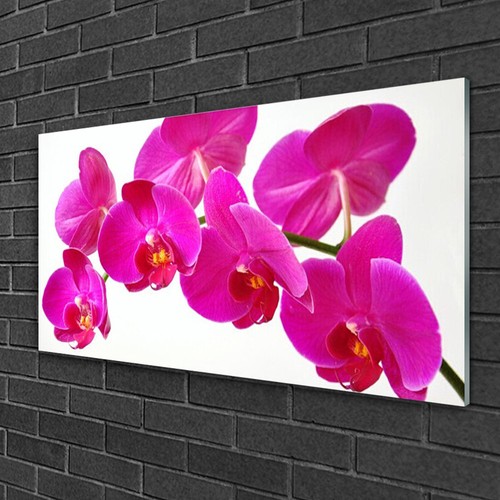 Glasbilder 100x50 wandbild - 100x50,