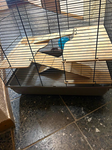 Vogelkäfig mit