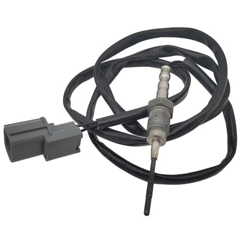 Abgastemperatursensor für