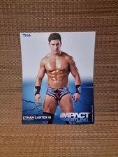 Ethan Carter 3 Wrestling Foto