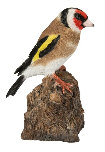 Vivid arts goldfink vogel auf - vivid,