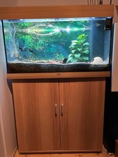 aquarium mit Zubehör