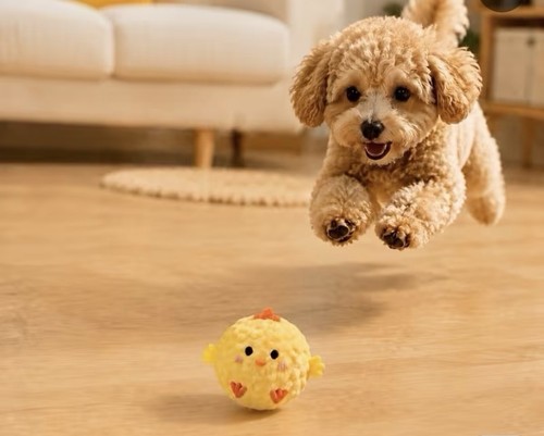 Hüpfball für hunde - hüpfball,