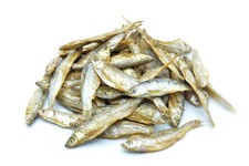 Fische Groß getrocknet 0,2 -