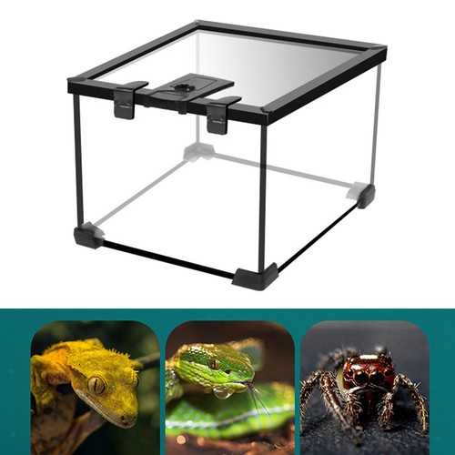Reptilien-Terrarium-Zuchtbecke