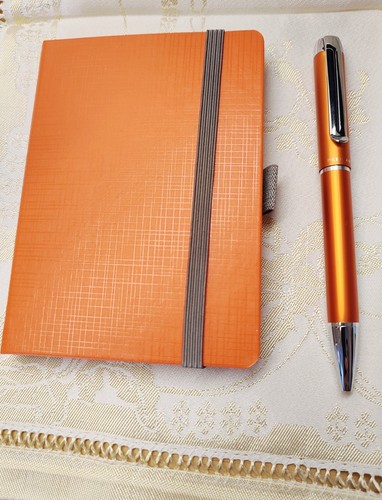 Pelikan pura - ✨,