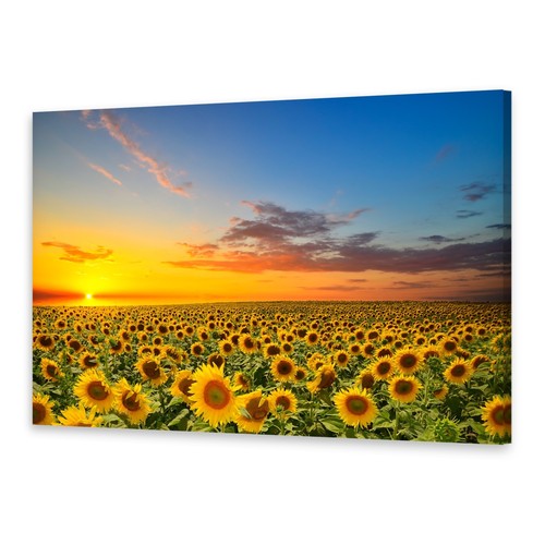 Leinwand bilder wandbild - leinwand-bilder, druck