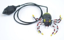 Halloween Paket Party Proben