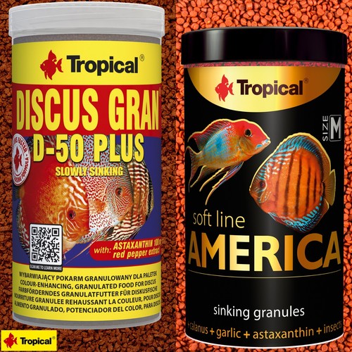 Tropical discus gran plus - discus,