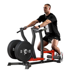 Seated Row Machine, Back