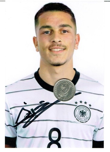 Arijon ibrahimovic dfb 10x15 - arijon,
