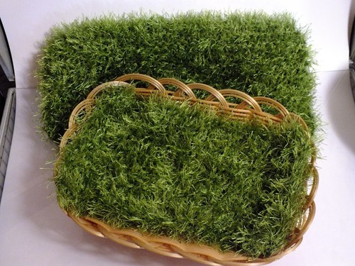 Deko ostergras moos waschbar - deko,