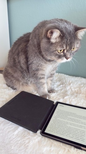 Kindle oasis generation - 9,