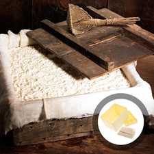 Käse macher Tofu Schimmel