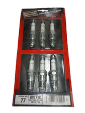 1 Package Of 6 Champion RV17YC