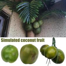 Simulation Fruit Coconut Tree