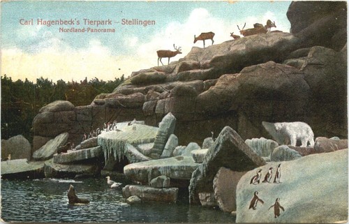 Stellingen carl hagenbecks - stellingen,