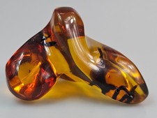 Flora Insekten-Bernstein