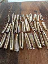 Schwertmuscheln 30 doppelte