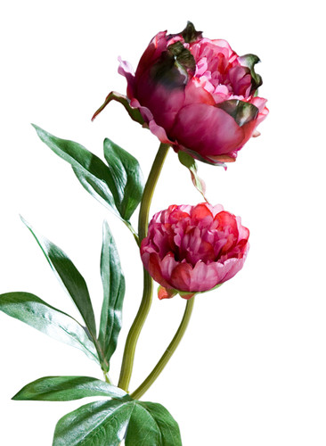 Künstliche pfingstrose rosa - künstliche,