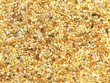 Outdoorset 10m² nur Außen