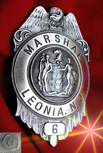 Obsolete police badge