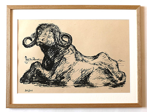 Alfred kubin büffel - ", "