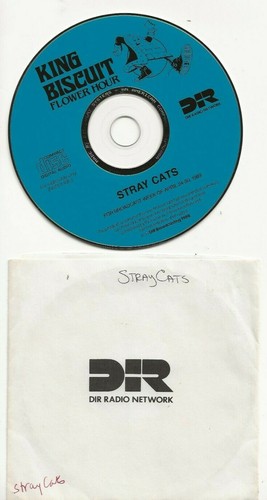 Stray cats amazing king - stray,
