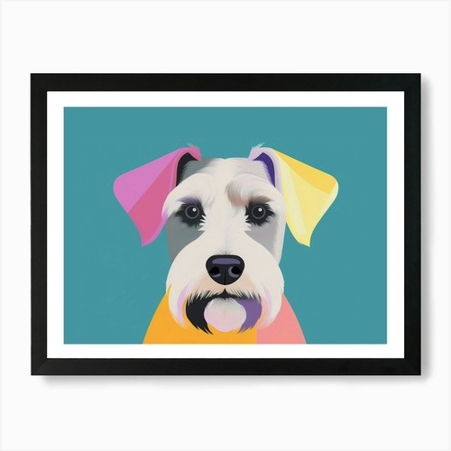 Schnauzer hund portrait - hund,