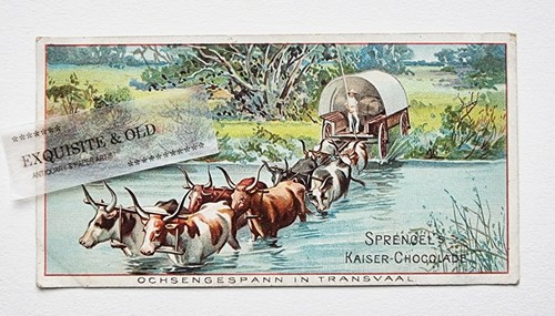 Sprengel chocolade hannover - sprengel,