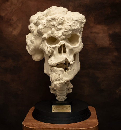 Joseph merrick schädel replik - joseph,