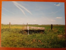 Postkarte 2713 gelaufen, Nahe zu Leer, Ansichtskarte, Sammlung