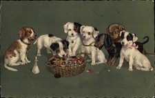 Ak Junge Hunde, Welpen, Dackel, Korb, Milchflasche - 3568201