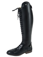 Königs Polo Primera -