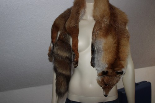 Echte pelzstola rotfuchs - echte,