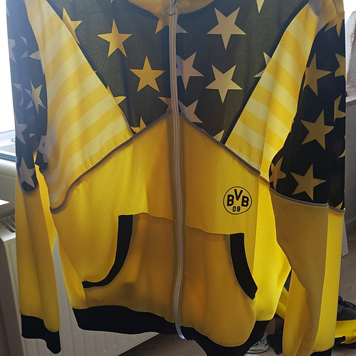 Borussia dortmund bvb - borussia,