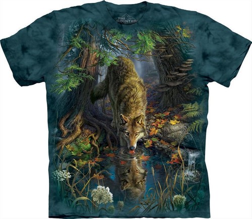 The mountain shirt - the,