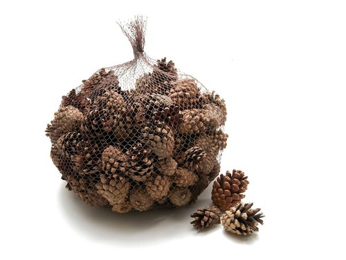 Nadeco sylvestris zapfen 1kg - nadeco,