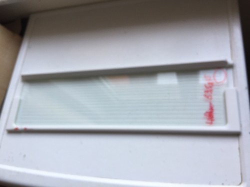 Glasplatte,Einlegeboden,Glasbo