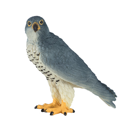 Mojo wild life - life, "wanderfalke"