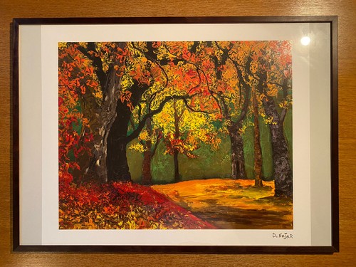 Bild david najar nature s - david, nature‘s