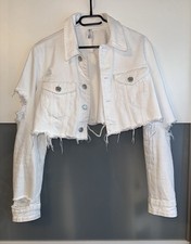 ZARA destroyed cropped